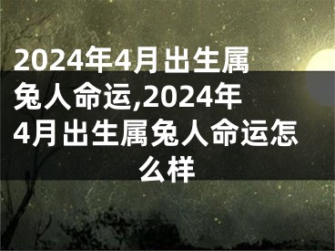 2024年4月出生属兔人命运,2024年4月出生属兔人命运怎么样
