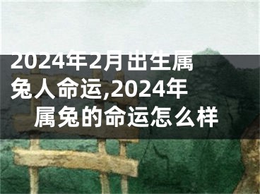 2024年2月出生属兔人命运,2024年属兔的命运怎么样