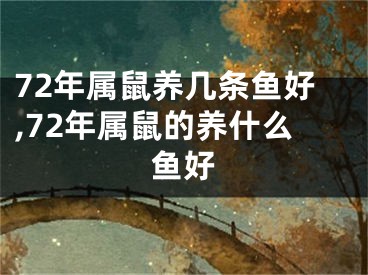 72年属鼠养几条鱼好,72年属鼠的养什么鱼好