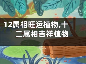 12属相旺运植物,十二属相吉祥植物
