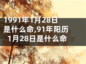 1991年1月28日是什么命,91年阳历1月28日是什么命