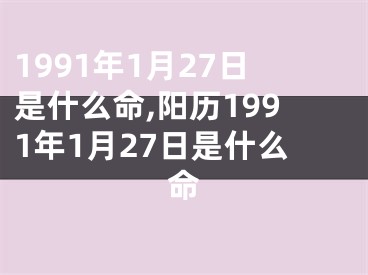 1991年1月27日是什么命,阳历1991年1月27日是什么命