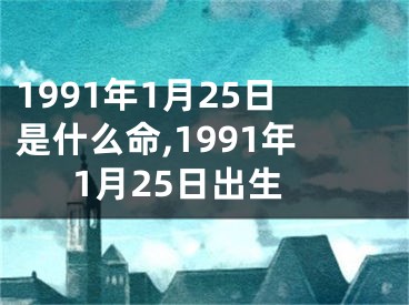 1991年1月25日是什么命,1991年1月25日出生
