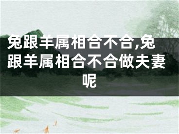 兔跟羊属相合不合,兔跟羊属相合不合做夫妻呢