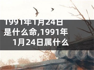 1991年1月24日是什么命,1991年1月24日属什么