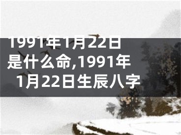 1991年1月22日是什么命,1991年1月22日生辰八字