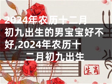 2024年农历十二月初九出生的男宝宝好不好,2024年农历十二月初九出生