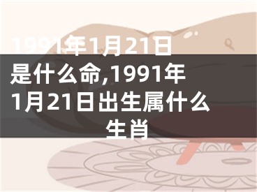 1991年1月21日是什么命,1991年1月21日出生属什么生肖