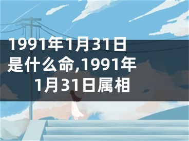 1991年1月31日是什么命,1991年1月31日属相
