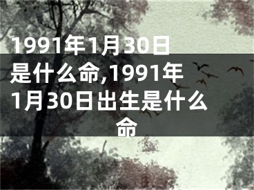 1991年1月30日是什么命,1991年1月30日出生是什么命