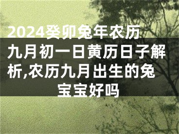 2024癸卯兔年农历九月初一日黄历日子解析,农历九月出生的兔宝宝好吗