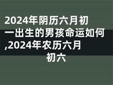 2024年阴历六月初一出生的男孩命运如何,2024年农历六月初六