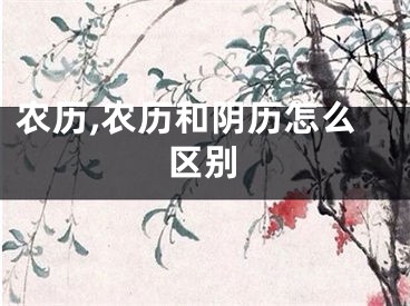 农历,农历和阴历怎么区别