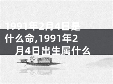 1991年2月4日是什么命,1991年2月4日出生属什么