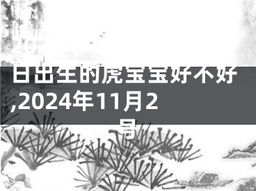 2024年11月27日出生的虎宝宝好不好,2024年11月2号