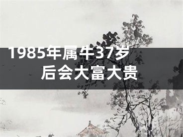 1985年属牛37岁后会大富大贵