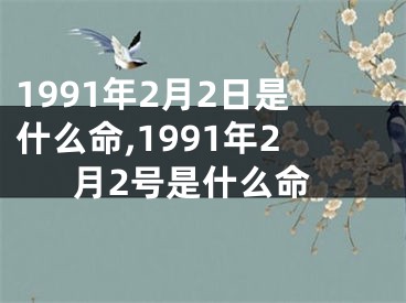 1991年2月2日是什么命,1991年2月2号是什么命