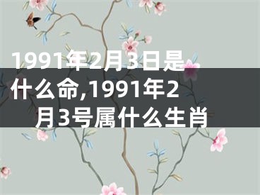 1991年2月3日是什么命,1991年2月3号属什么生肖
