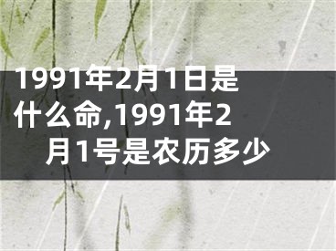 1991年2月1日是什么命,1991年2月1号是农历多少