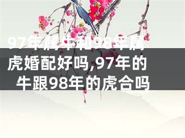 97年属牛和98年属虎婚配好吗,97年的牛跟98年的虎合吗