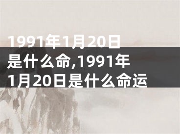 1991年1月20日是什么命,1991年1月20日是什么命运