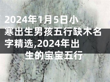 2024年1月5日小寒出生男孩五行缺木名字精选,2024年出生的宝宝五行