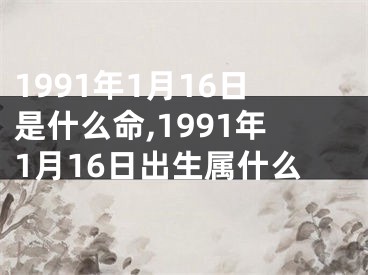 1991年1月16日是什么命,1991年1月16日出生属什么