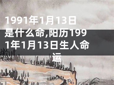 1991年1月13日是什么命,阳历1991年1月13日生人命运