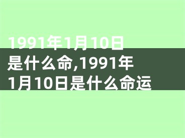 1991年1月10日是什么命,1991年1月10日是什么命运