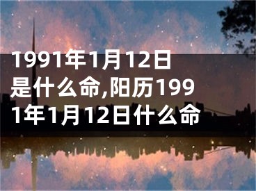 1991年1月12日是什么命,阳历1991年1月12日什么命