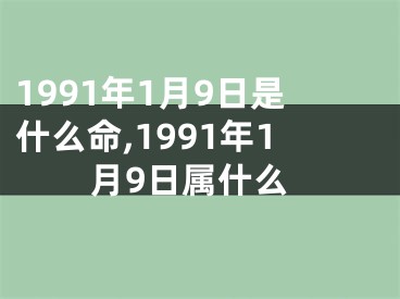 1991年1月9日是什么命,1991年1月9日属什么