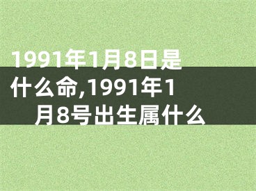 1991年1月8日是什么命,1991年1月8号出生属什么