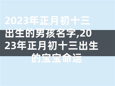 2023年正月初十三出生的男孩名字,2023年正月初十三出生的宝宝命运