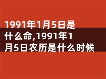 1991年1月5日是什么命,1991年1月5日农历是什么时候