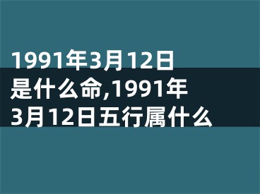 1991年3月12日是什么命,1991年3月12日五行属什么