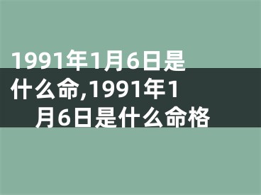 1991年1月6日是什么命,1991年1月6日是什么命格