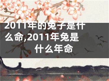 2011年的兔子是什么命,2011年兔是什么年命