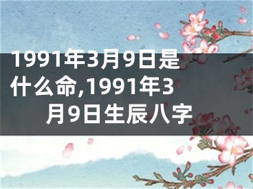 1991年3月9日是什么命,1991年3月9日生辰八字