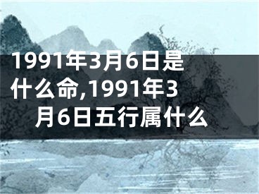 1991年3月6日是什么命,1991年3月6日五行属什么