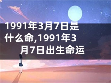 1991年3月7日是什么命,1991年3月7日出生命运
