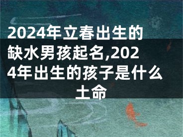 2024年立春出生的缺水男孩起名,2024年出生的孩子是什么土命