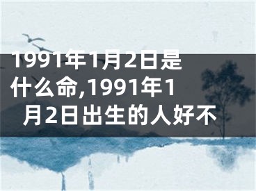 1991年1月2日是什么命,1991年1月2日出生的人好不