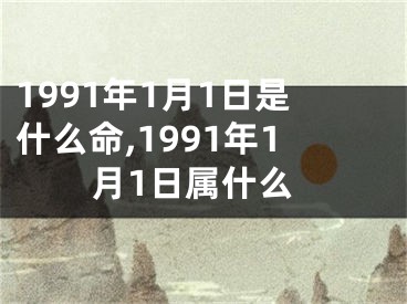 1991年1月1日是什么命,1991年1月1日属什么