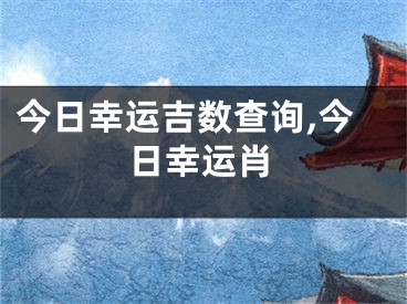 今日幸运吉数查询,今日幸运肖
