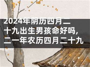 2024年阴历四月二十九出生男孩命好吗,二一年农历四月二十九