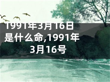 1991年3月16日是什么命,1991年3月16号