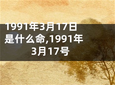 1991年3月17日是什么命,1991年3月17号