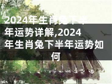 2024年生肖兔下半年运势详解,2024年生肖兔下半年运势如何