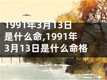 1991年3月13日是什么命,1991年3月13日是什么命格