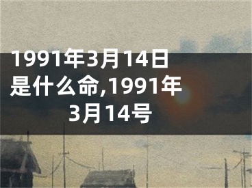 1991年3月14日是什么命,1991年3月14号